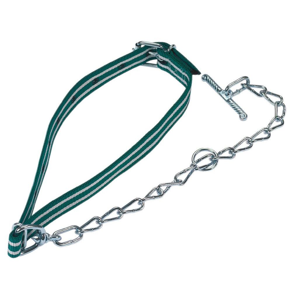 Galvanized cattle tethering chain with neck strap