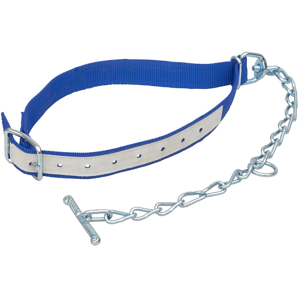 nylon calf collar and tethering chain