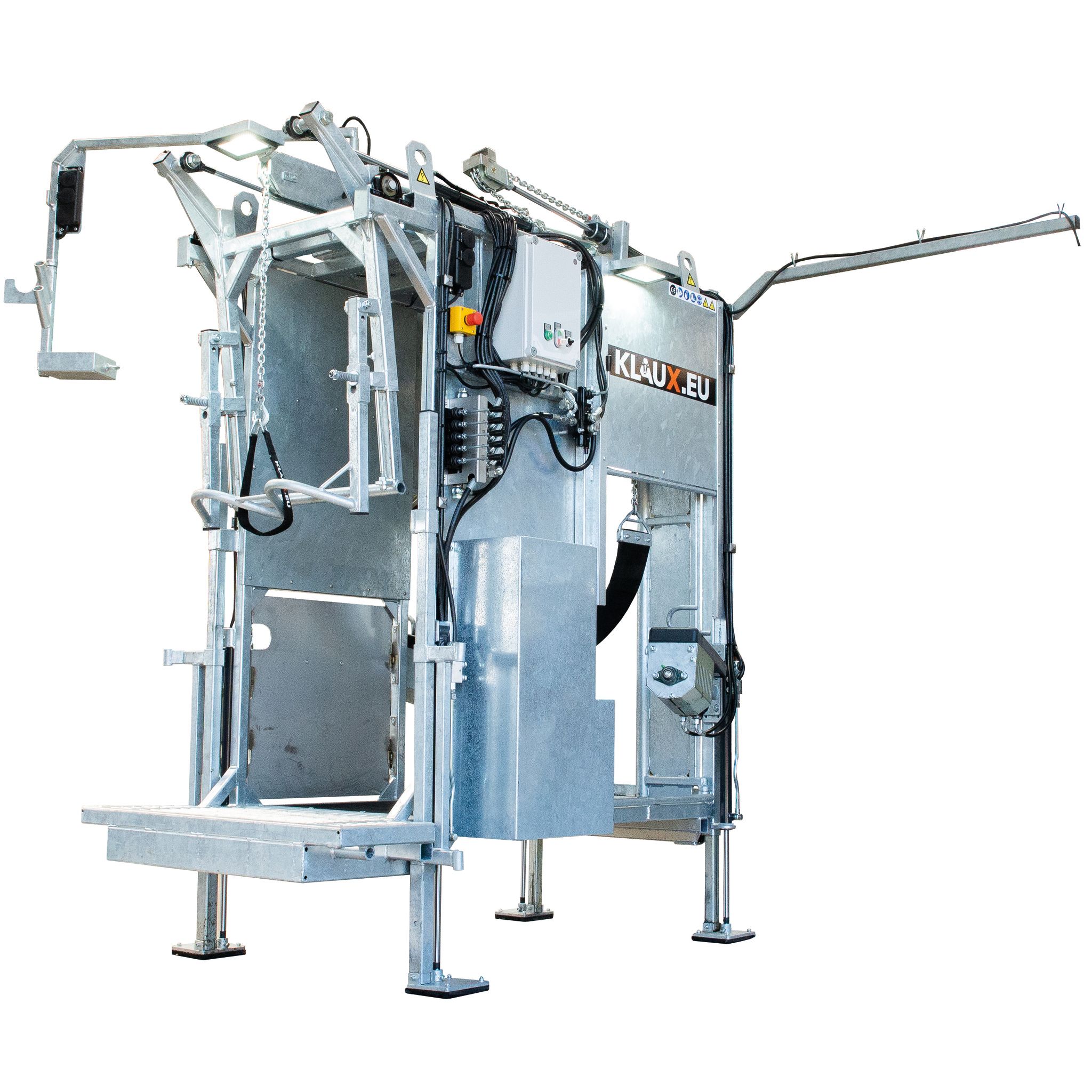stationary cattle hoof trimming chute