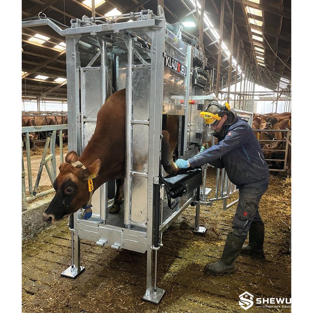 hydraulic stationary cattle hoof trimming equipment