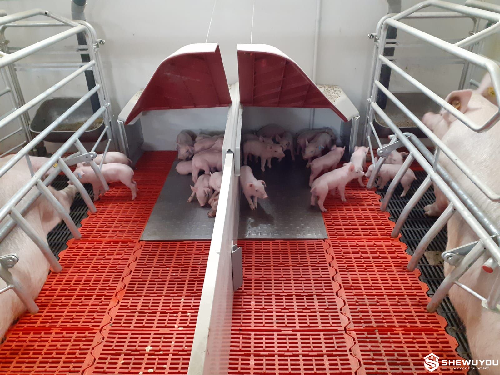 Electric heating plate for piglet creep area