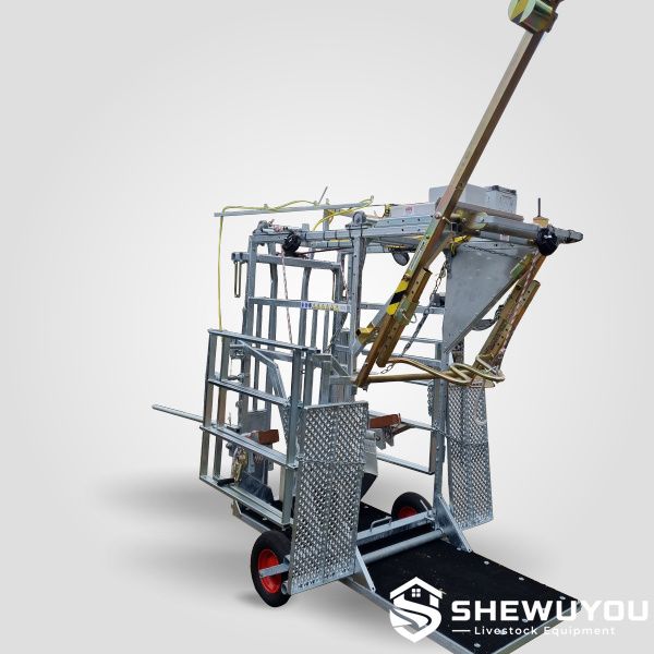 Mobile cattle hoof trimming crush with wheels