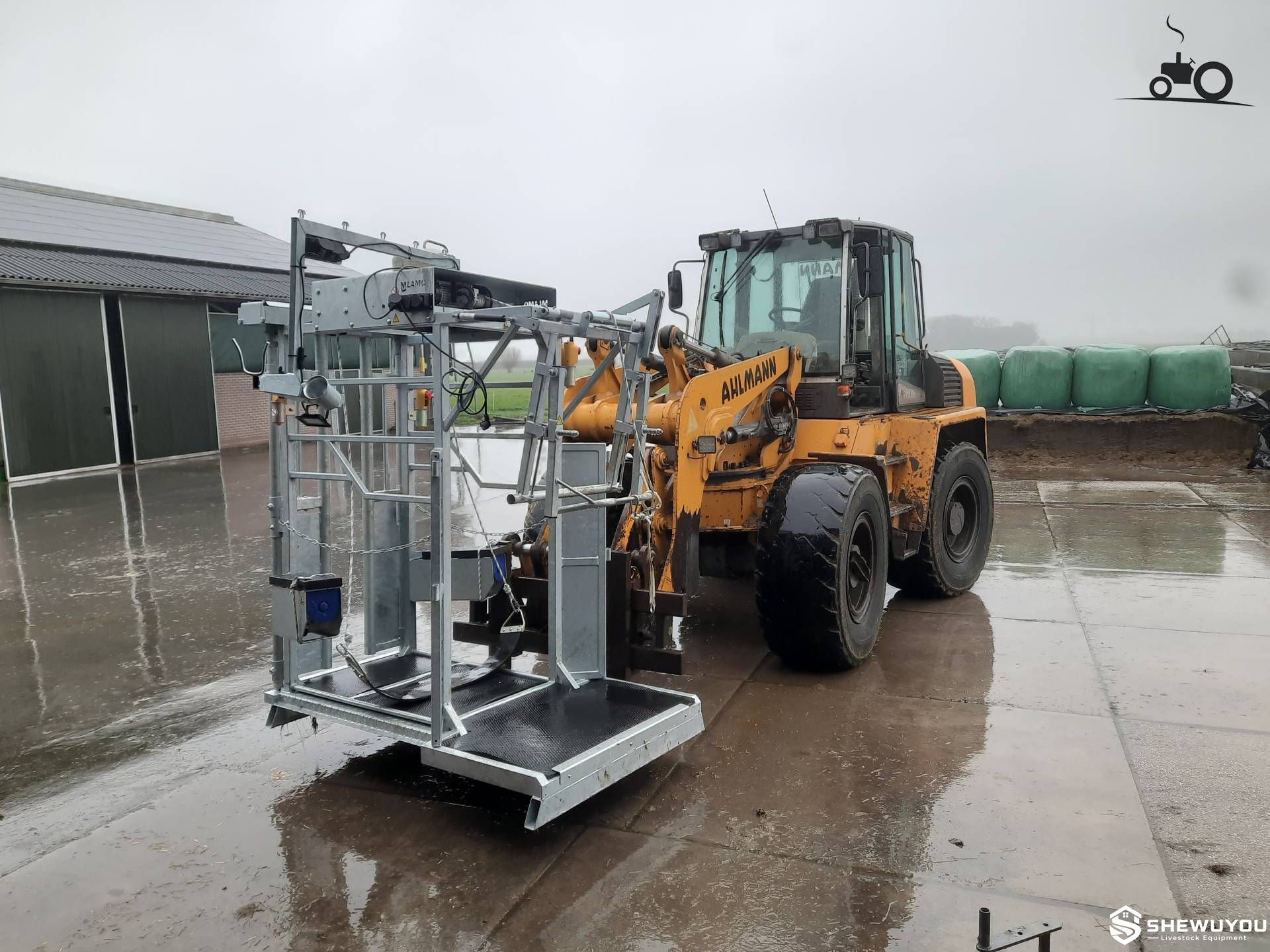 skid steer mounted cattle hoof trimming chute