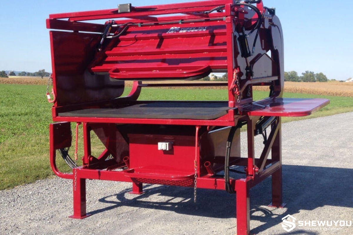 Heavy-duty cattle hoof trimming chute