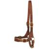 Heavy-Duty Leather Bull Halter for Cattle Handling