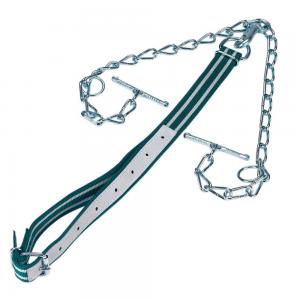 Cattle Neck Strap & Chain Tethering System for Livestock Handling - SHEWUYOU Livestock Equipment