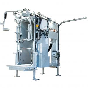 Stationary Cattle Hoof Trimming Chute - SHEWUYOU Livestock Equipment