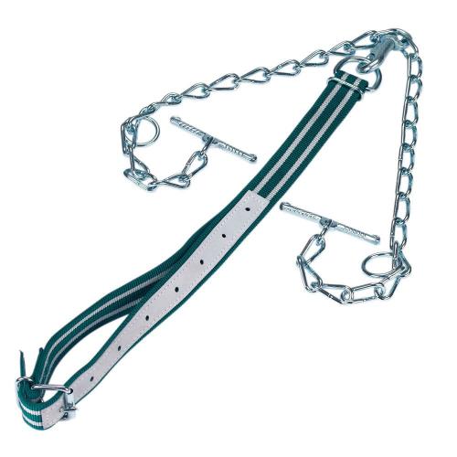 Cattle Neck Strap & Chain Tethering System for Livestock Handling - SHEWUYOU Livestock Equipment