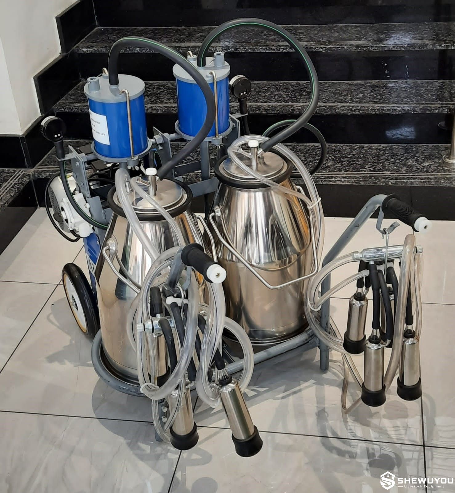 double bucket cow milking machine