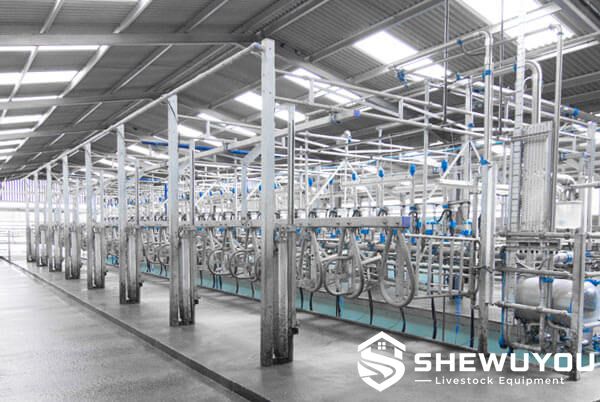 cow milking system and dairy milking equipment