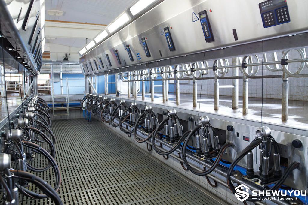parallel cow milking parlour equipment