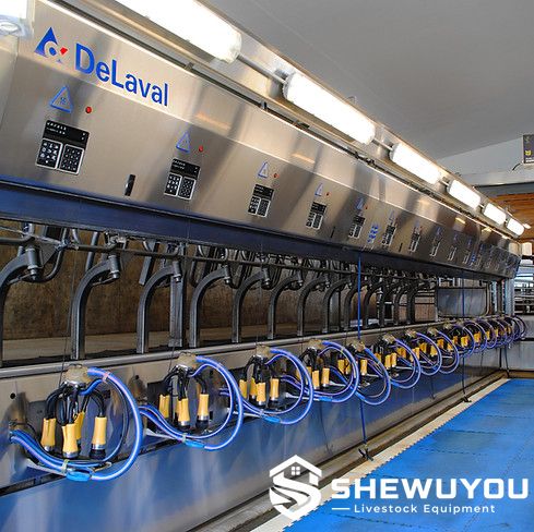 commercial dairy cow milking system