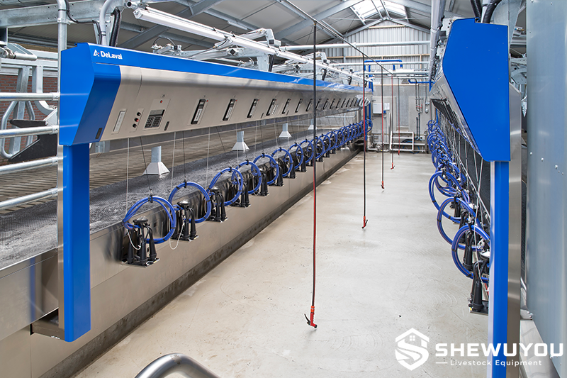 dairy rotary milking system