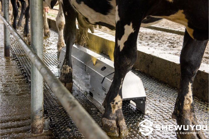 Automatic udder washing system for dairy cows