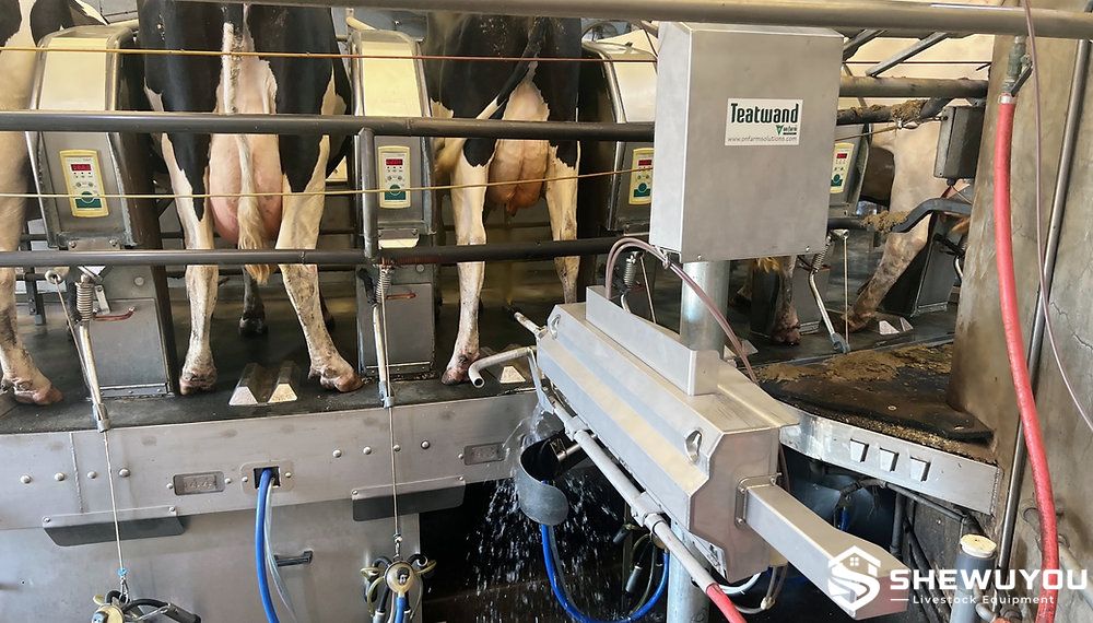Automatic teat spraying equipment in a commercial dairy parlor