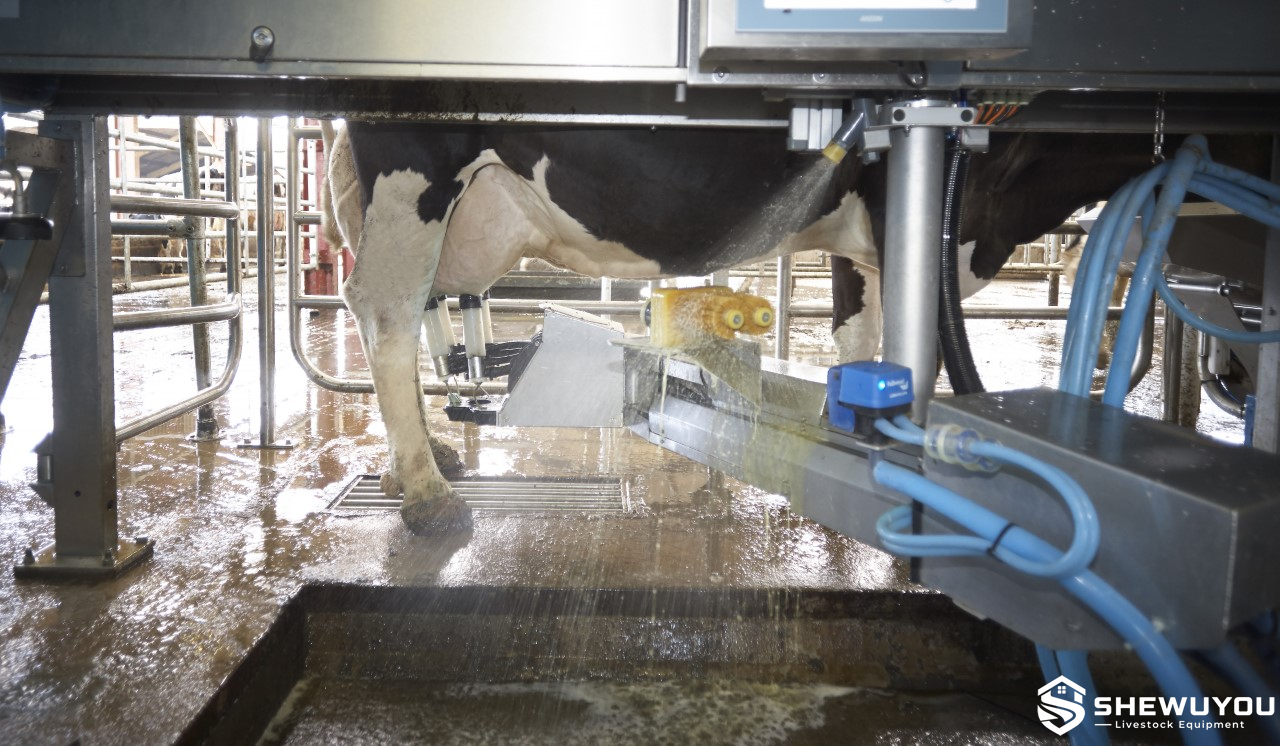 Automated cow udder washing and teat preparation system