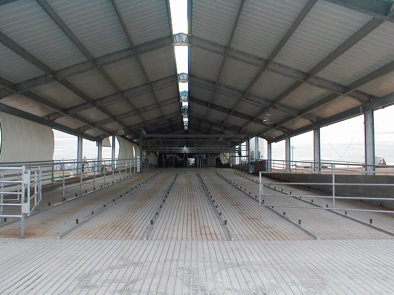 Cow Udder Washer wash pen installation