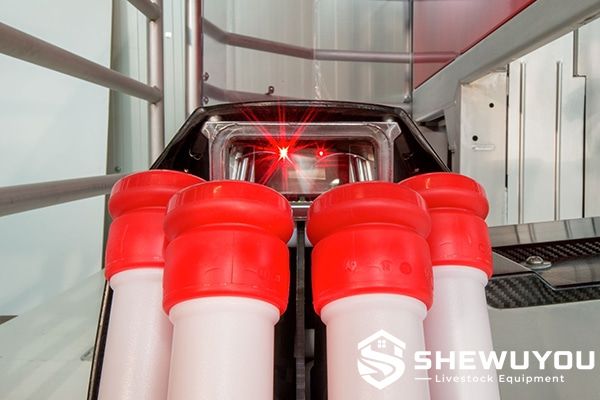 Dairy cow automatic milking teat preparation equipment