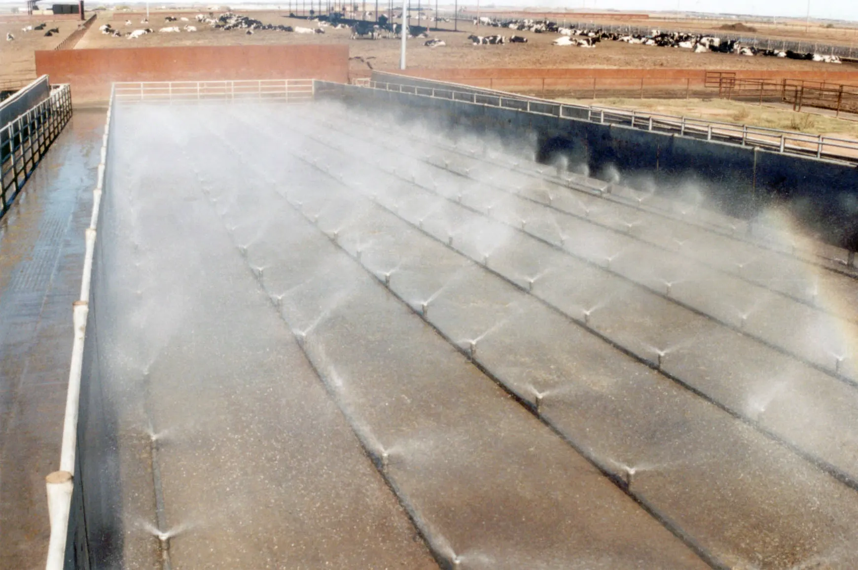 Dairy livestock hygiene equipment for commercial farm application