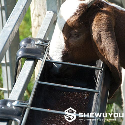 Goat feeder mounted on livestock fencing