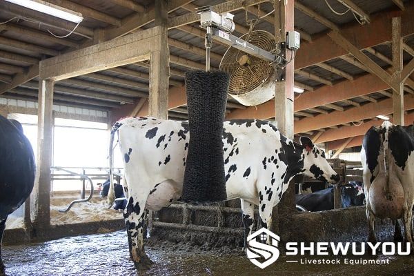 Automatic Cow Brush for dairy cow grooming and comfort