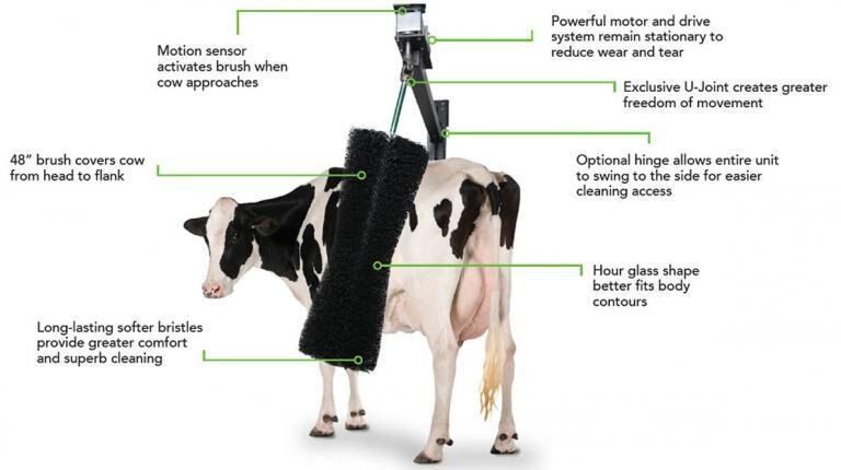 Automatic cow brush with motion sensor and flexible mounting