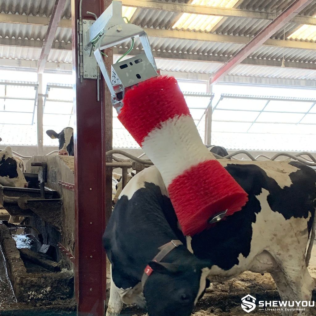 Electric cow brush for dairy cattle grooming