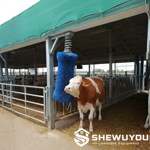 Adjustable spring mounted cow brush product structure