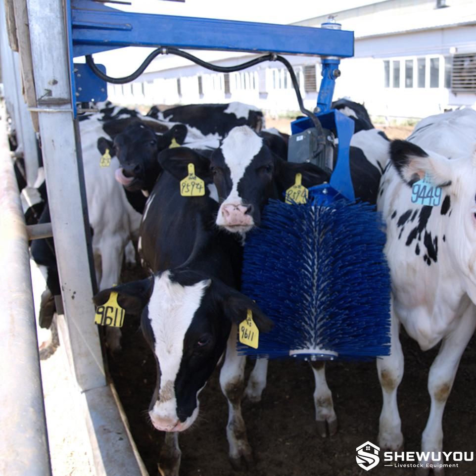 Automatic rotating cow grooming brush