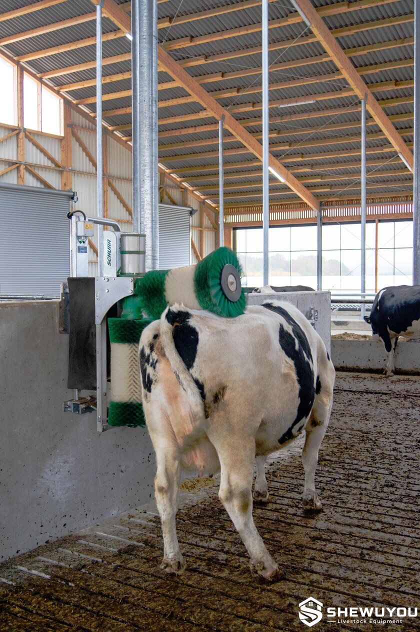 Cow comfort brush installed in commercial dairy housing