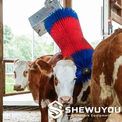 Cattle grooming brush used in livestock housing