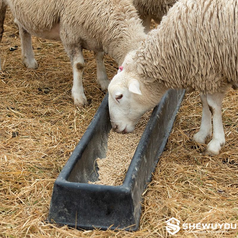 long goat livestock feed trough