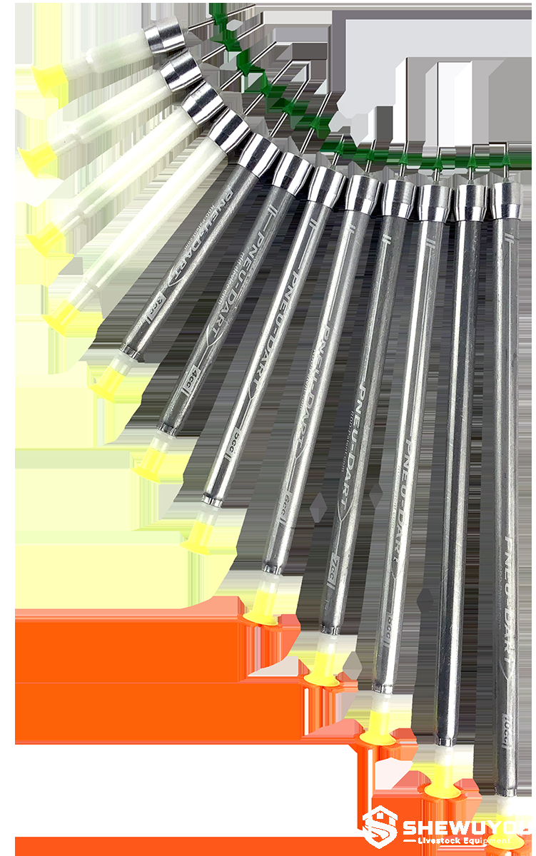 Remote cattle injection delivery devices