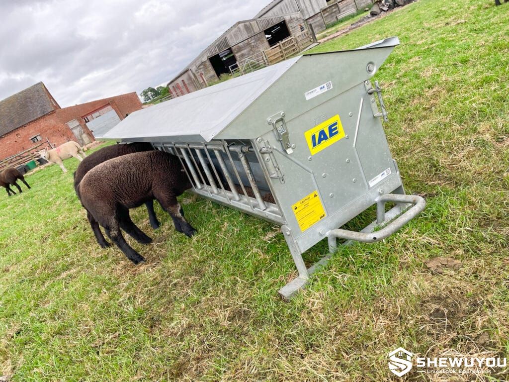 Double sided lamb creep feeder in pasture