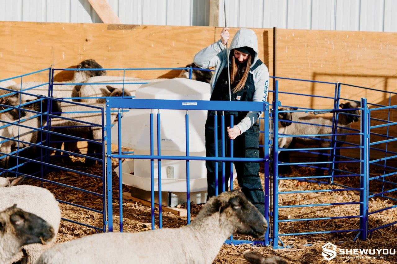Adjustable lamb creep feeding panel