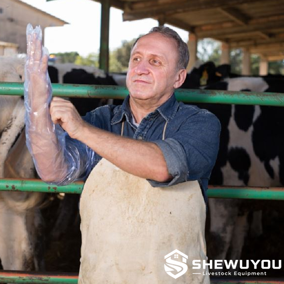 Cattle artificial insemination veterinary long arm glove