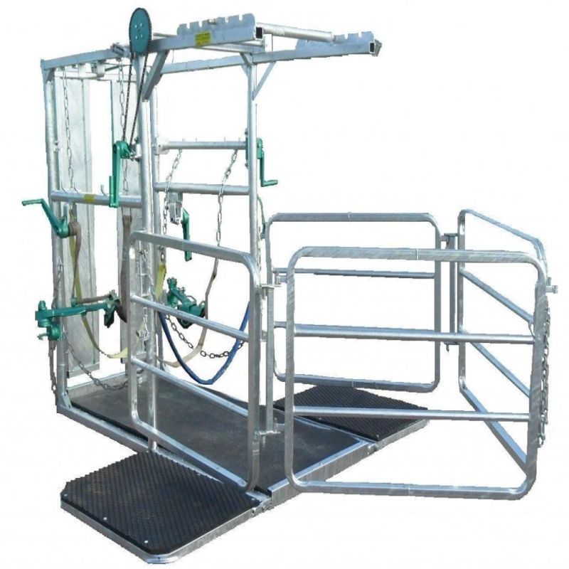 galvanized mechanical cattle hoof trimming crush