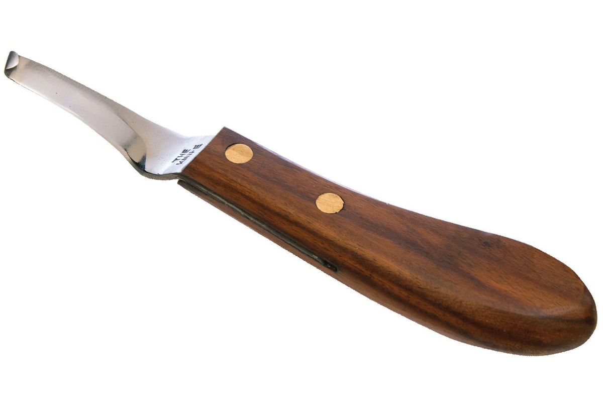 Professional right hand hoof knife with curved blade