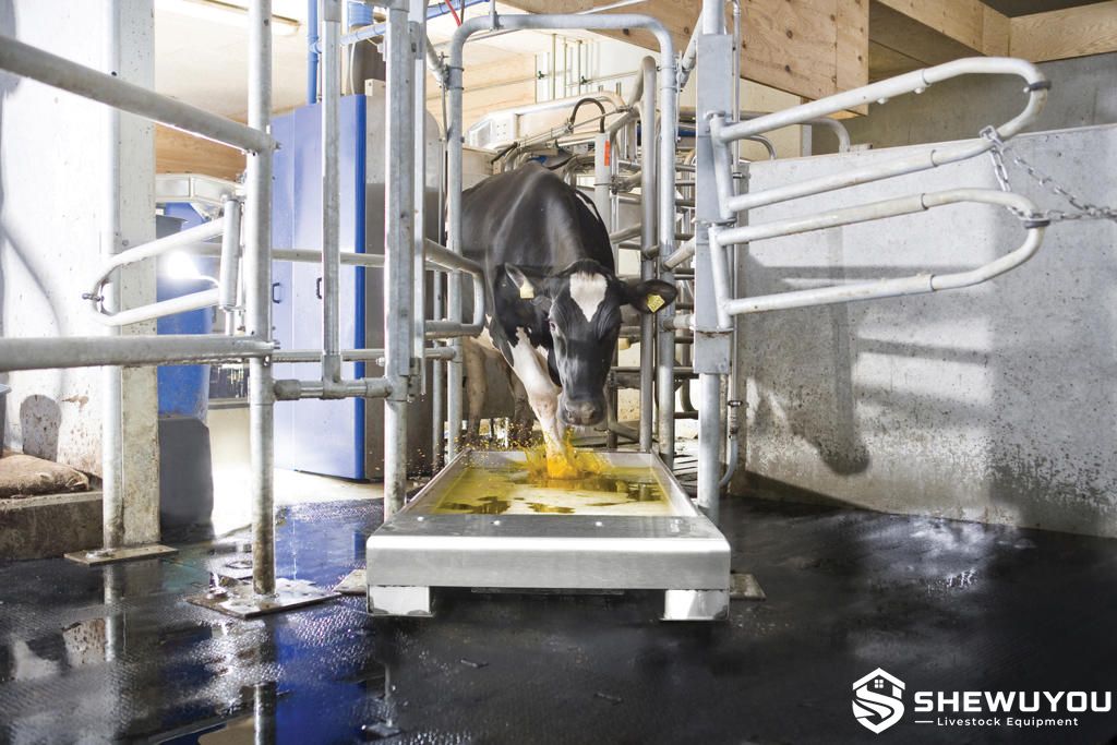 Automatic cattle footbath dosing system in dairy facility