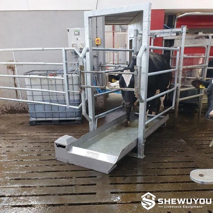 Automatic cattle footbath cleaning system