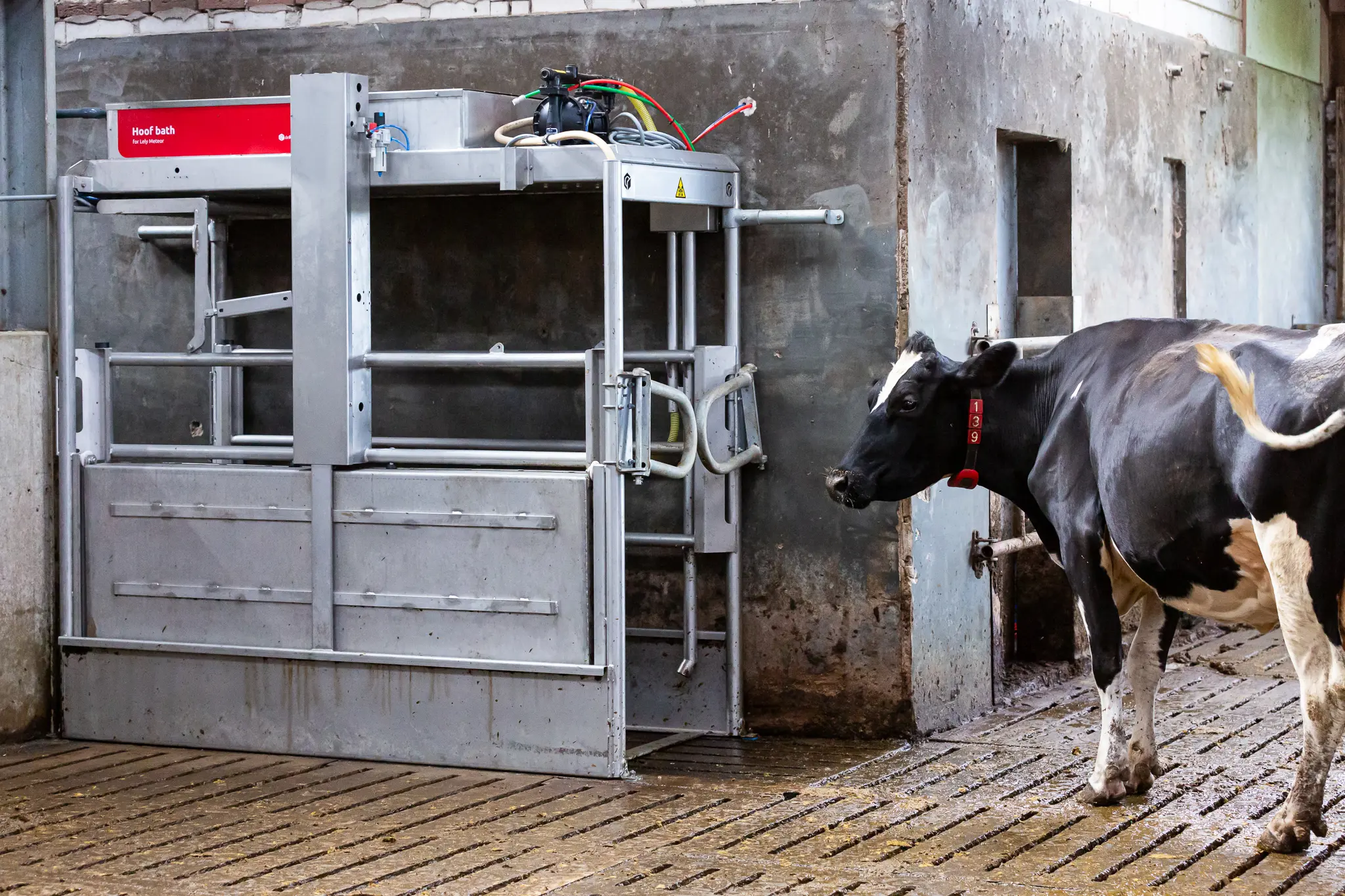 : Robotic Milking Hoof Bath System 