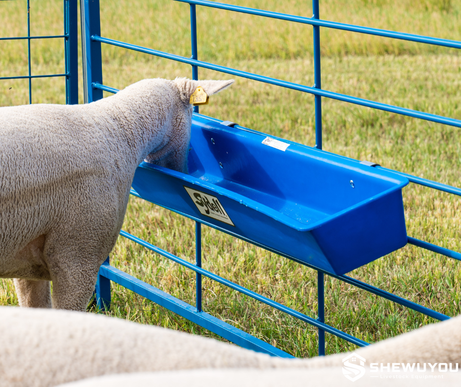 Sheep feeding trough mounted on livestock panel