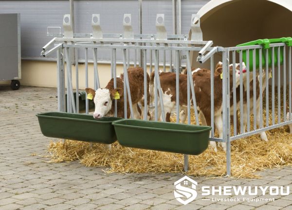 Livestock hanging feed trough installation