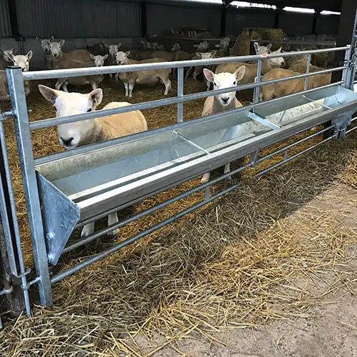 sheep feeding trough farm installation