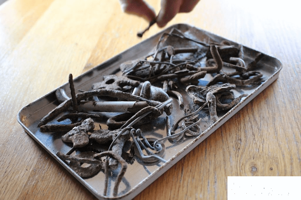 Ferrous metal debris collected from cattle hardware disease
