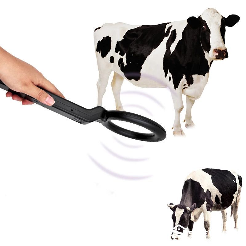 Cow stomach metal detector livestock health screening