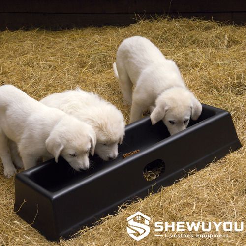 Small sheep feeder for lamb feeding