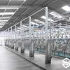 Cow Milking System for Dairy Farms