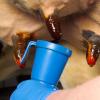 Cow Teat Dip Cup