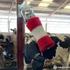 Electric Cow Brush for Dairy Farms